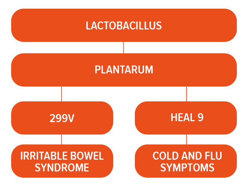 IH Diagram