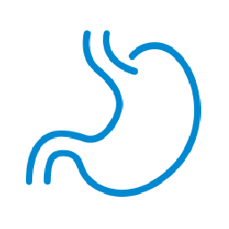 good gut bacteria balance icon